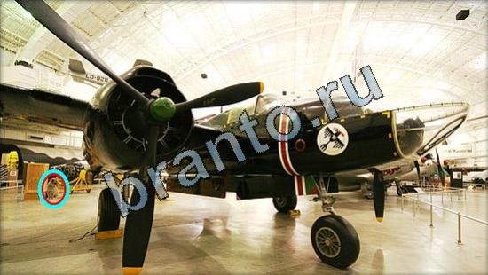 Где же кот? решения Уровень 3052