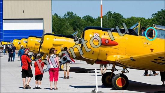 Где же кот игра ответы Уровень 3053