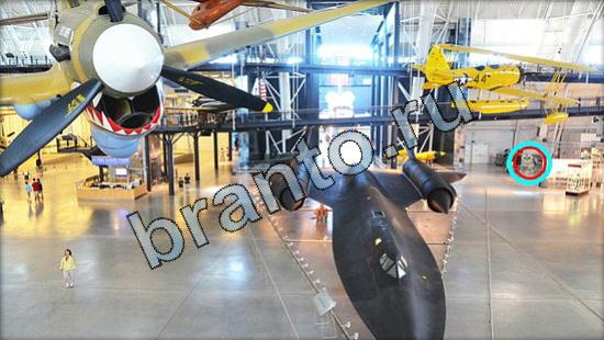 Где же кот игра помощь Уровень 3055