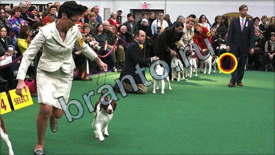 игра в одноклассниках Где же кот ответы Уровень 3070