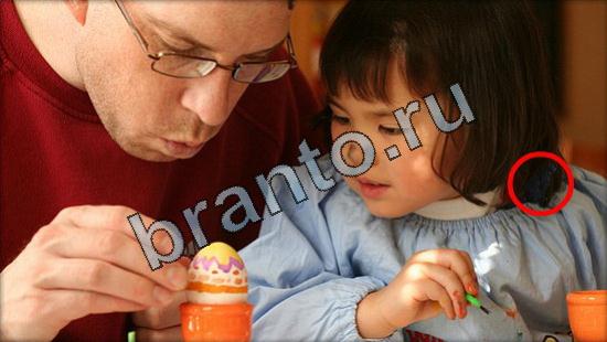 Где же кот игра подсказки Уровень 3094