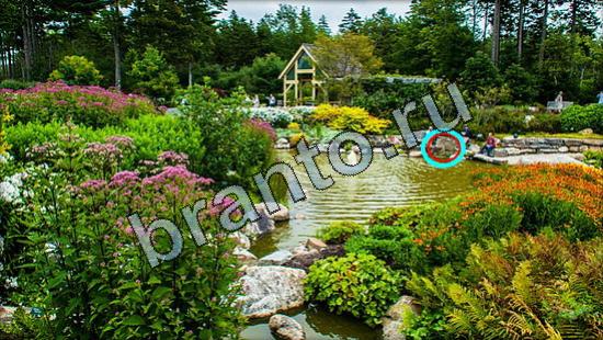 ответы на игру Где же кот в одноклассниках Уровень 3103