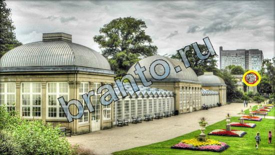 ответы для игры Где же кот Уровень 3107