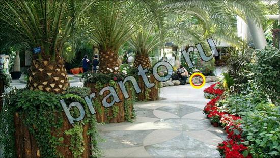 игра в одноклассниках Где же кот ответы Уровень 3110