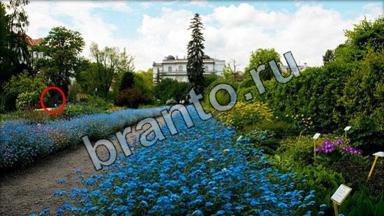 Где же кот ответы на новые задания Уровень 3113