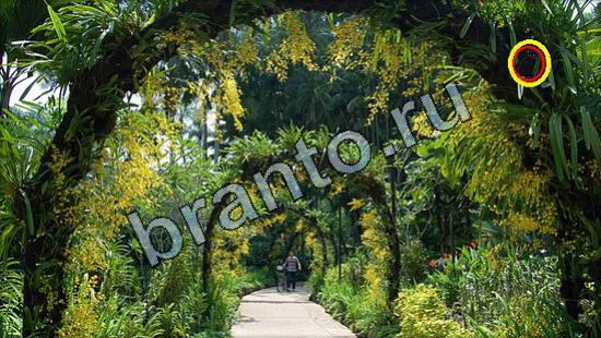 ответы в картинках на игру Где же кот Уровень 3117