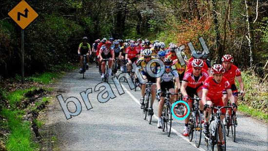 ответы на игру Где же кот Уровень 3121