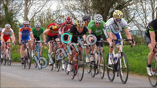 Подсказки на игру Где же кот Уровень 3122