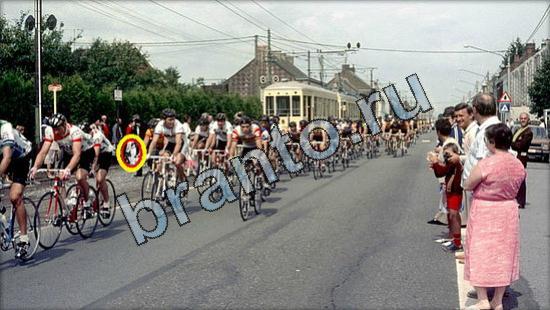 Помощь на игру Где же кот Уровень 3124