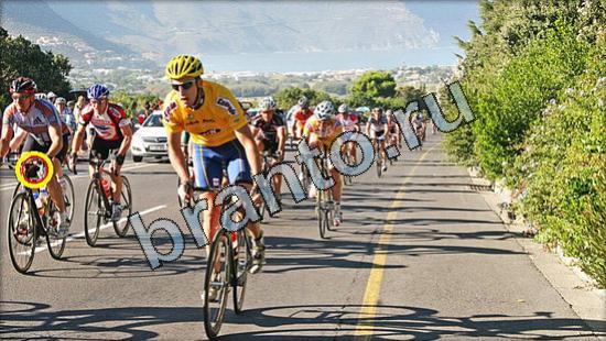 Где же кот? ответы Уровень 3128