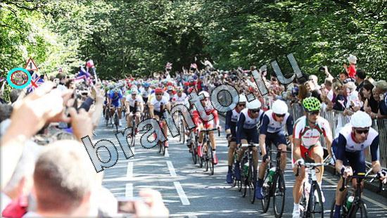 Где же кот? помощь Уровень 3130