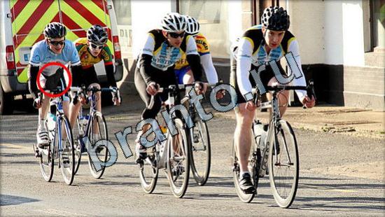 решебник на игру Где же кот Уровень 3131