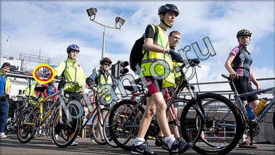 Где же кот? решения Уровень 3132