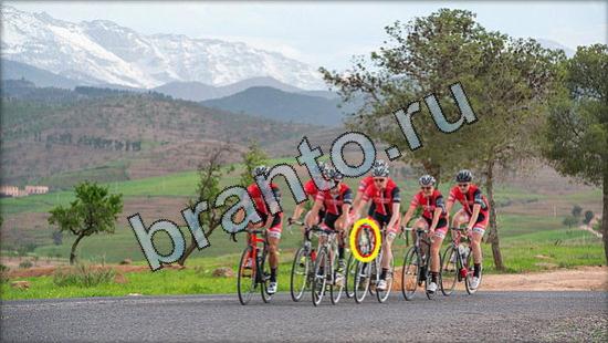 Где же кот игра ответы Уровень 3133