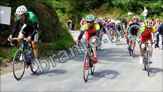 Где же кот игра помощь Уровень 3135