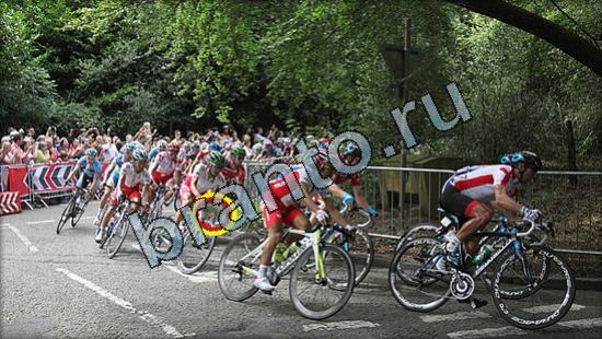 Игра Где же кот ответы Уровень 3137