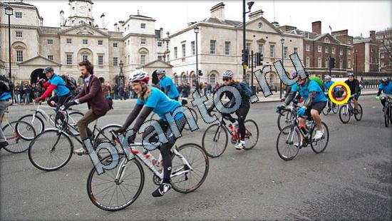 Игра Где же кот подсказки Уровень 3138