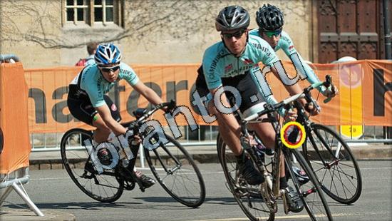 игра Где же кот помощь Уровень 3139