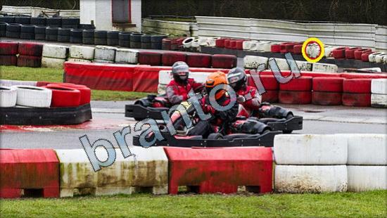 Где же кот прохождение игры Уровень 3142