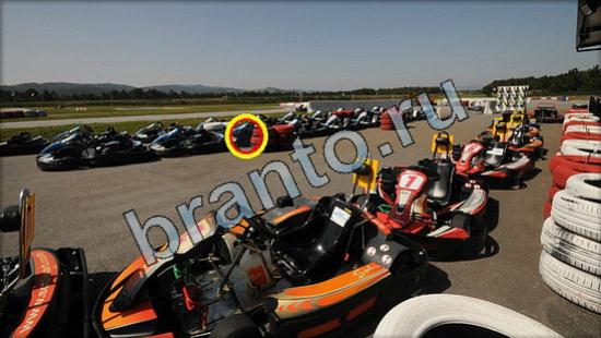 ответы для игры Где же кот Уровень 3147