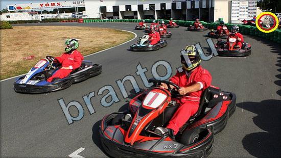 ответы на игру Где же кот в скриншотах Уровень 3152