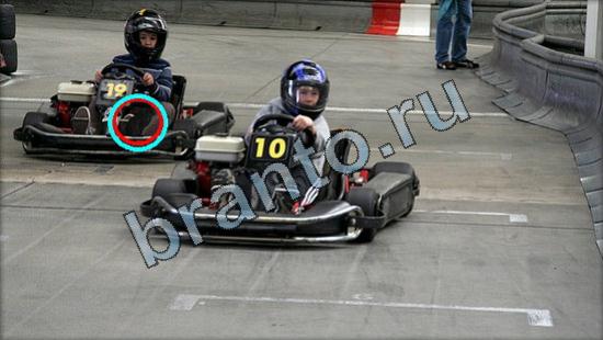 решения на игру Где же кот Уровень 3155