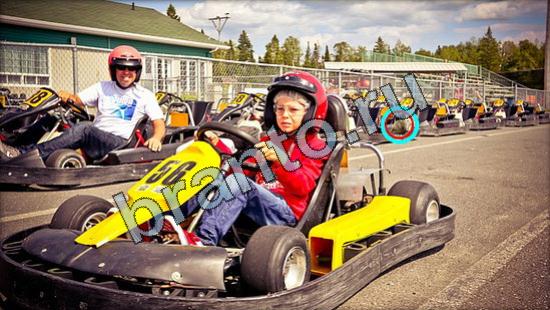 ответы на игру Где же кот Уровень 3156