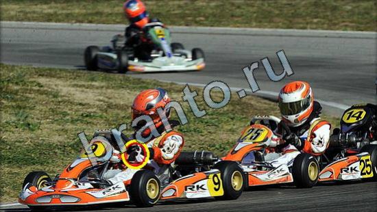 ответы в картинках на игру Где же кот Уровень 3157