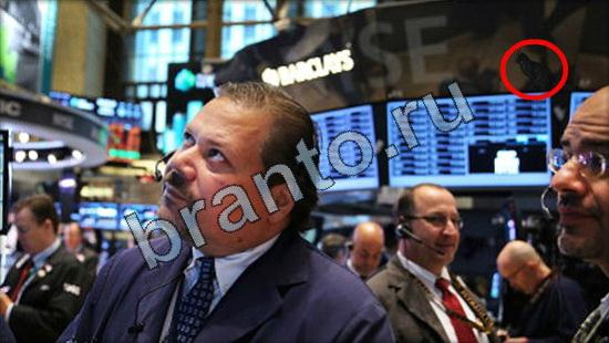 Где же кот игра ответы в одноклассниках Уровень 3167