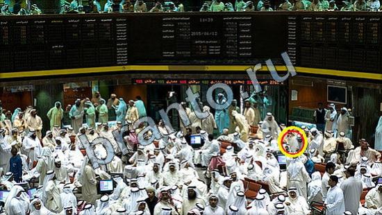 Где же кот? ответы Уровень 3168