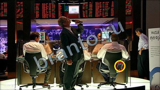 Где же кот? подсказки Уровень 3169