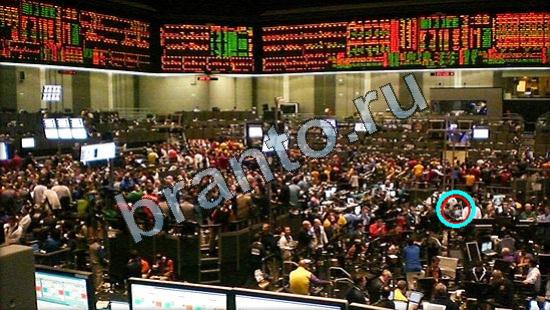 Где же кот? решения Уровень 3172