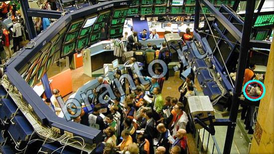 Где же кот игра ответы Уровень 3173