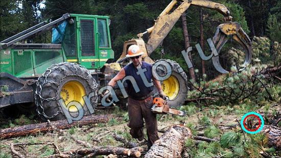 прохождение на игру Где же кот Уровень 3181