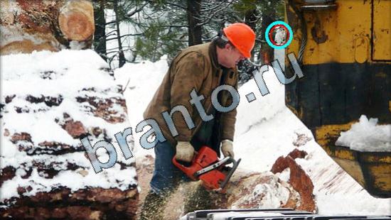 Прохождение игры Где же кот Уровень 3184