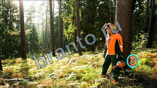 ответы Где же кот? в одноклассниках Уровень 3186