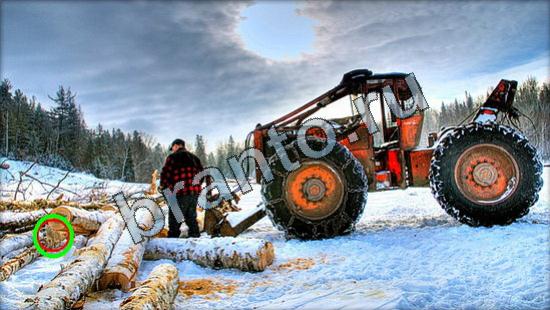 ответы для игры Где же кот Уровень 3187