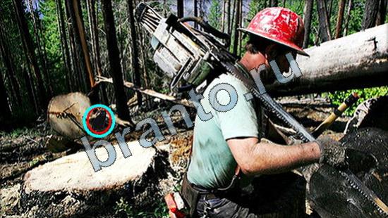 решения для игры Где же кот Уровень 3188