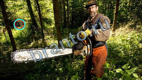 Где же кот игра ответы Уровень 3189