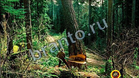 ответы на игру Где же кот в скриншотах Уровень 3192