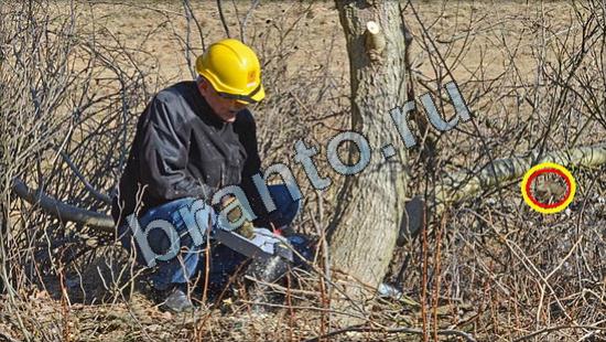 ответы на игру Где же кот Уровень 3194