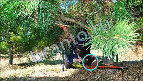 ответы на игру Где же кот Уровень 3196