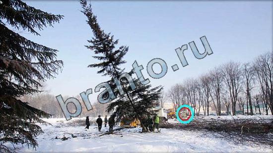 ответы в картинках на игру Где же кот Уровень 3197