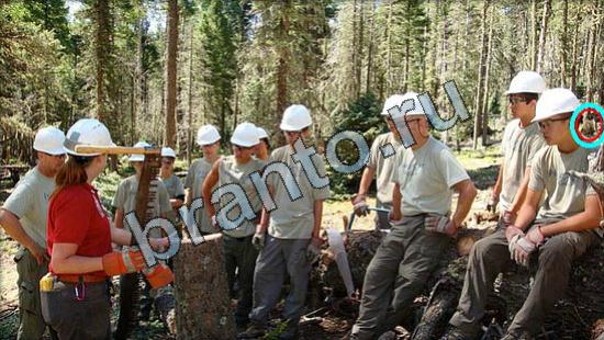 помощь на игру Где же кот Уровень 3198