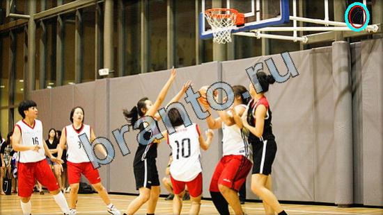 ответы на игру Где же кот Уровень 3201