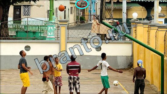 Подсказки на игру Где же кот Уровень 3202