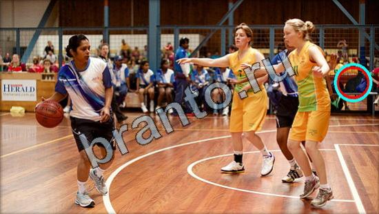 Решения на игру Где же кот Уровень 3203