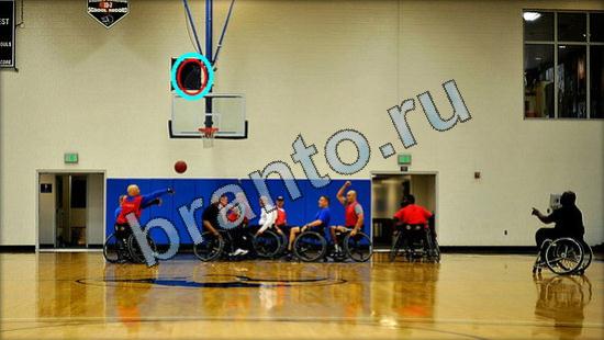 Помощь на игру Где же кот Уровень 3204