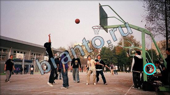 ответы на игру в одноклассниках Где же кот Уровень 3206