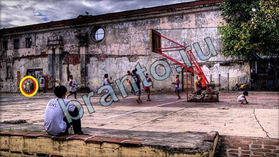 решебник на игру Где же кот Уровень 3211